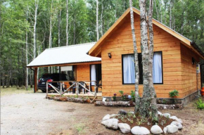 Гостиница Cabanas Pucoyan  Пукон